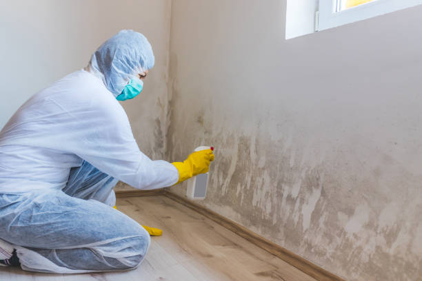 Best Toxic Mold Removal  in Skiato, OK