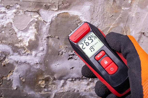 Best Black Mold Removal  in Skiato, OK