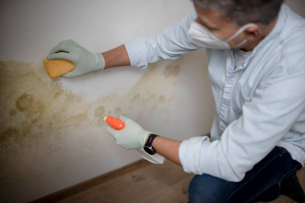Best Mold Testing  in Skiato, OK