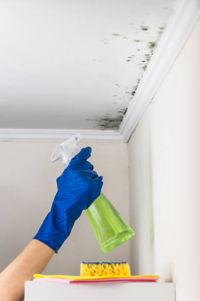 Home Mold Removal in Skiatook, OK